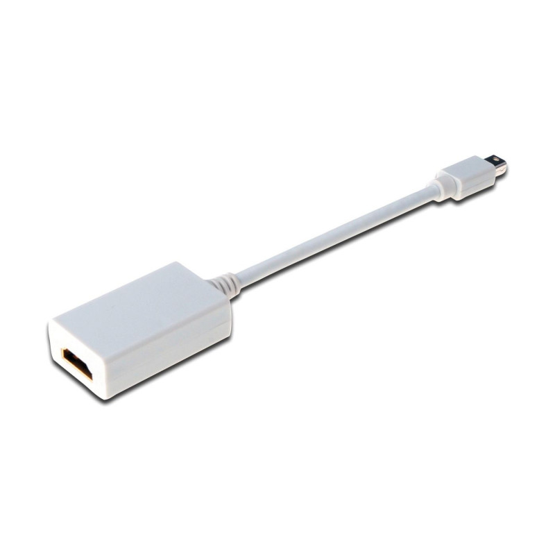 DisplayPort adapter cable,