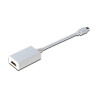 DisplayPort adapter cable,