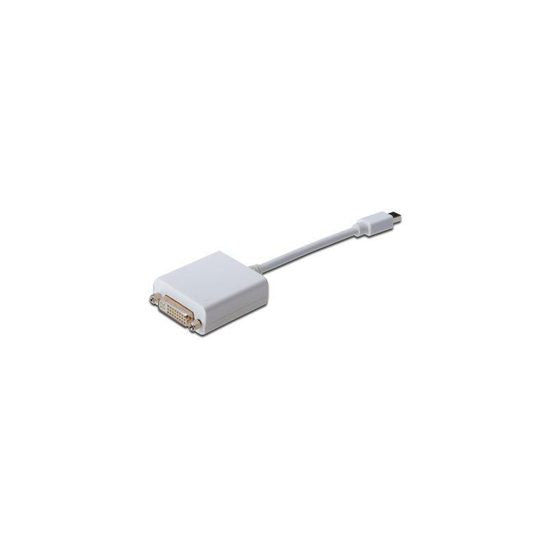 DisplayPort adapter cable,