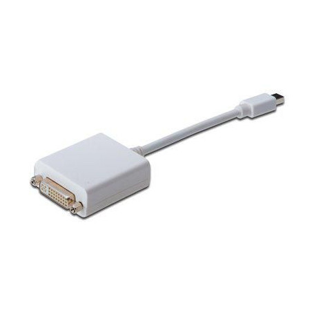 DisplayPort adapter cable,