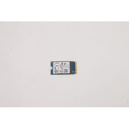 256GB M.2 PCIe NVMe SSD
