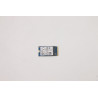 256GB M.2 PCIe NVMe SSD