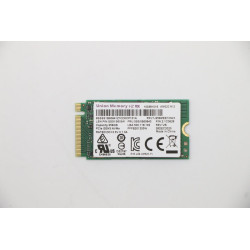 256GB PCIe 2242 M.2 SSD