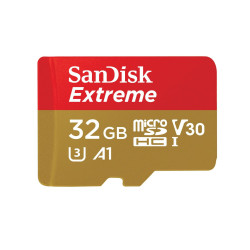 microSDHC Action