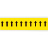 Identical numbers and letters