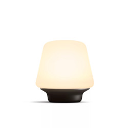 WELLNESS HUE TABLE LAMP BLACK 2021