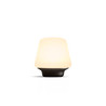WELLNESS HUE TABLE LAMP BLACK 2021