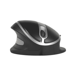 Oyster Mouse