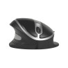 Oyster Mouse