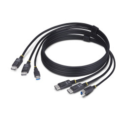 Dual-DP/USB KVM Cable