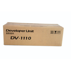 DV-1110 DEVELOPMENT UNIT