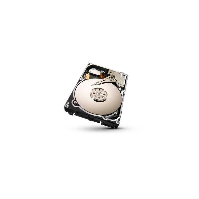 1TB 64MB 7200RPM SAS 6Gb/s