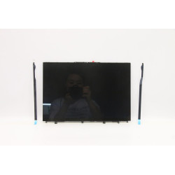 LCD Module L82NH