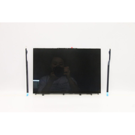 LCD Module L82NH