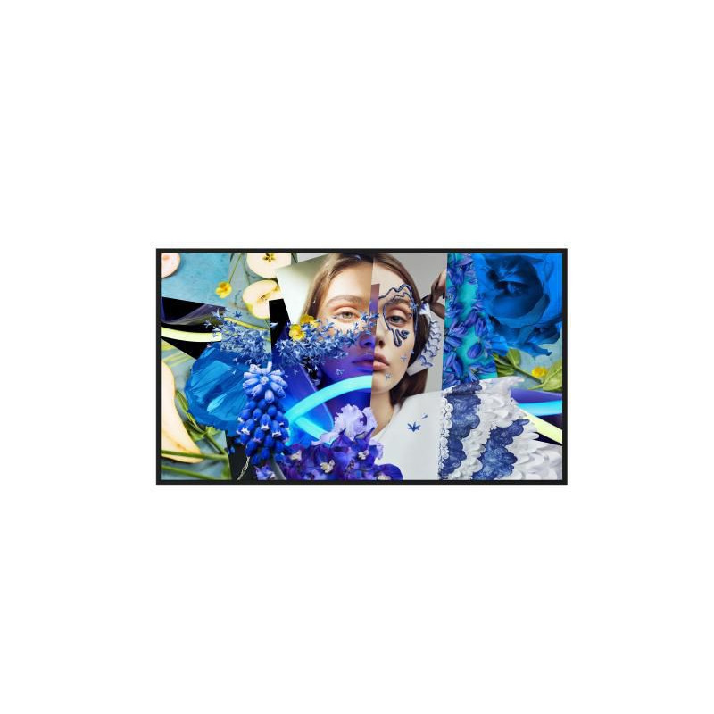 DS-D6050UN-DP, 50-inch UHD