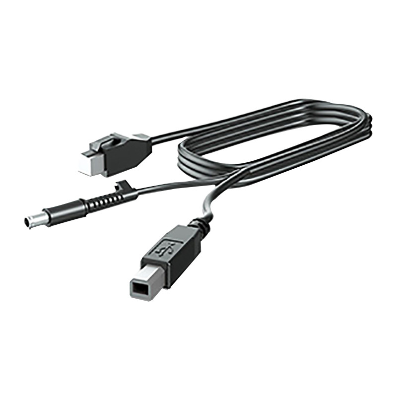 HP 300cm DP+USB PWR CABLE