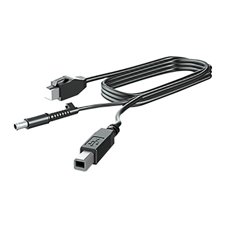 HP 300cm DP+USB PWR CABLE