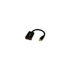 Mini DisplayPort to DisplayPort Adapter