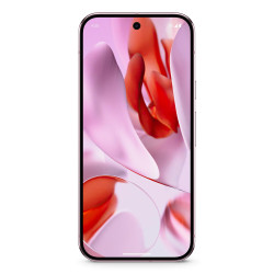 Pixel 9 Pro XL 17.3 cm (6.8") | APLIUM