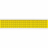 Identical numbers and letters