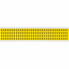 Identical numbers and letters