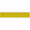 Identical numbers and letters
