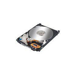 73,4GB 10K 2,5 INCH SAS HDD