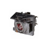 RLC-109 projector lamp