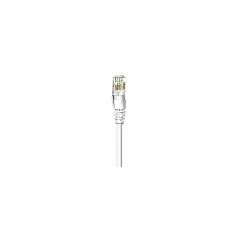 Network Cable, Cat6, UTP