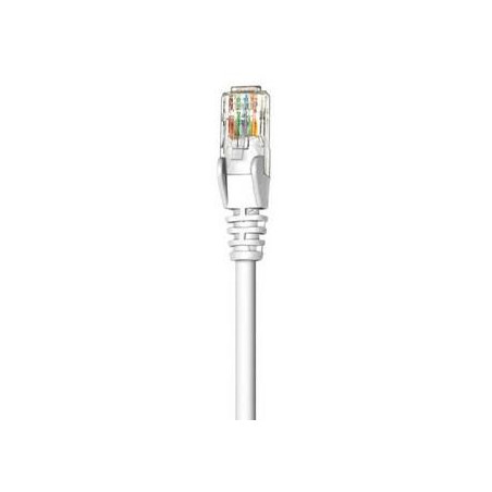 Network Cable, Cat6, UTP