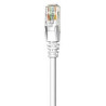 Network Cable, Cat6, UTP