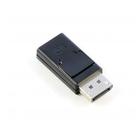 DisplayPort to HDMI