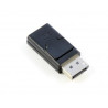 DisplayPort to HDMI