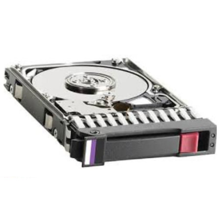 DRV, GNRC-SPS, 300G 12G SAS