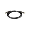 Satcking Cable/SFP+Direct Attach/3M