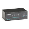 2-PT SERVSWITCH DT DUAL DVI