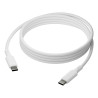 IT Cable 2m USB-C/USB-C 100W W