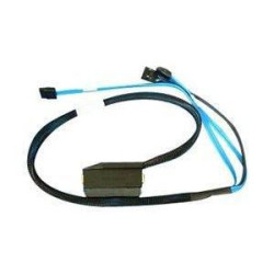 Host Internal Cable Assembly