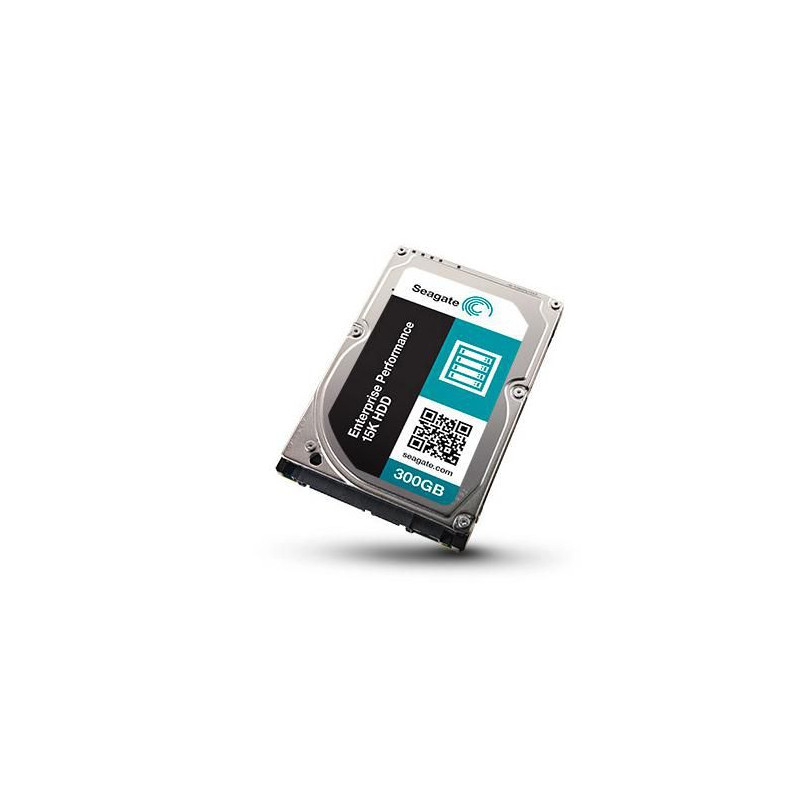 E Performance 300GB 15KRPM -
