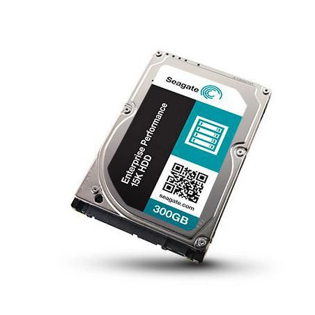 E Performance 300GB 15KRPM -