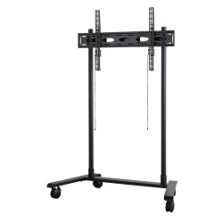 Extra-Large Flat Screen