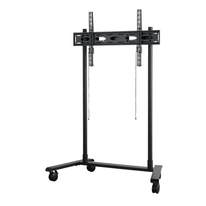 Extra-Large Flat Screen