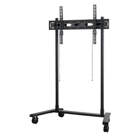 Extra-Large Flat Screen