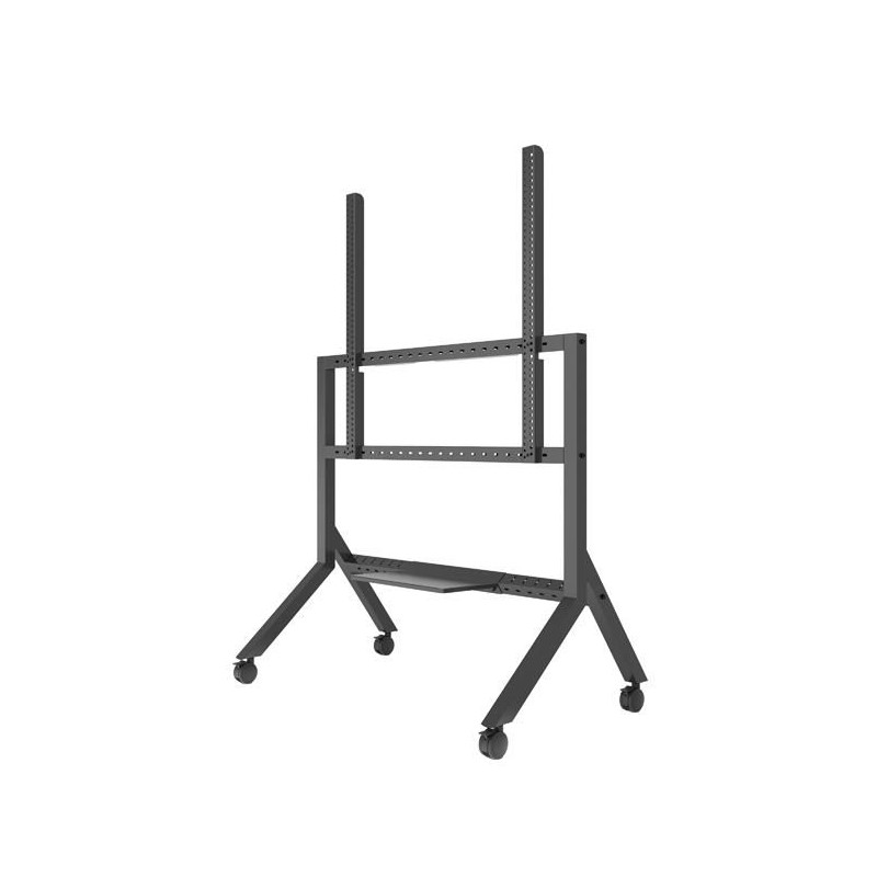 Momentum Edge XL Interactive