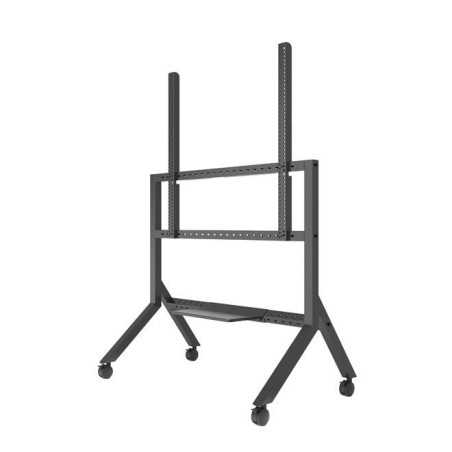 Momentum Edge XL Interactive