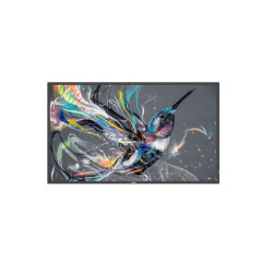 Monitor Philips 50" Q-line / Panel Va D-led 16:9 / 3840X2160 | APLIUM