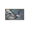 Monitor Philips 50" Q-line / Panel Va D-led 16:9 / 3840X2160 | APLIUM