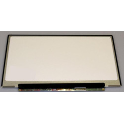 12,5" LCD HD Glossy | APLIUM