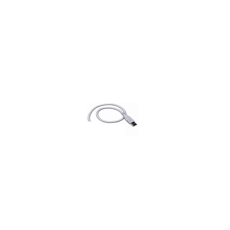 Cable, USB, Type A, Straight