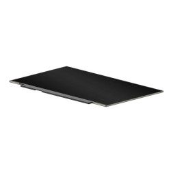 LCD RAW PANEL 14 HD BV SVA 220